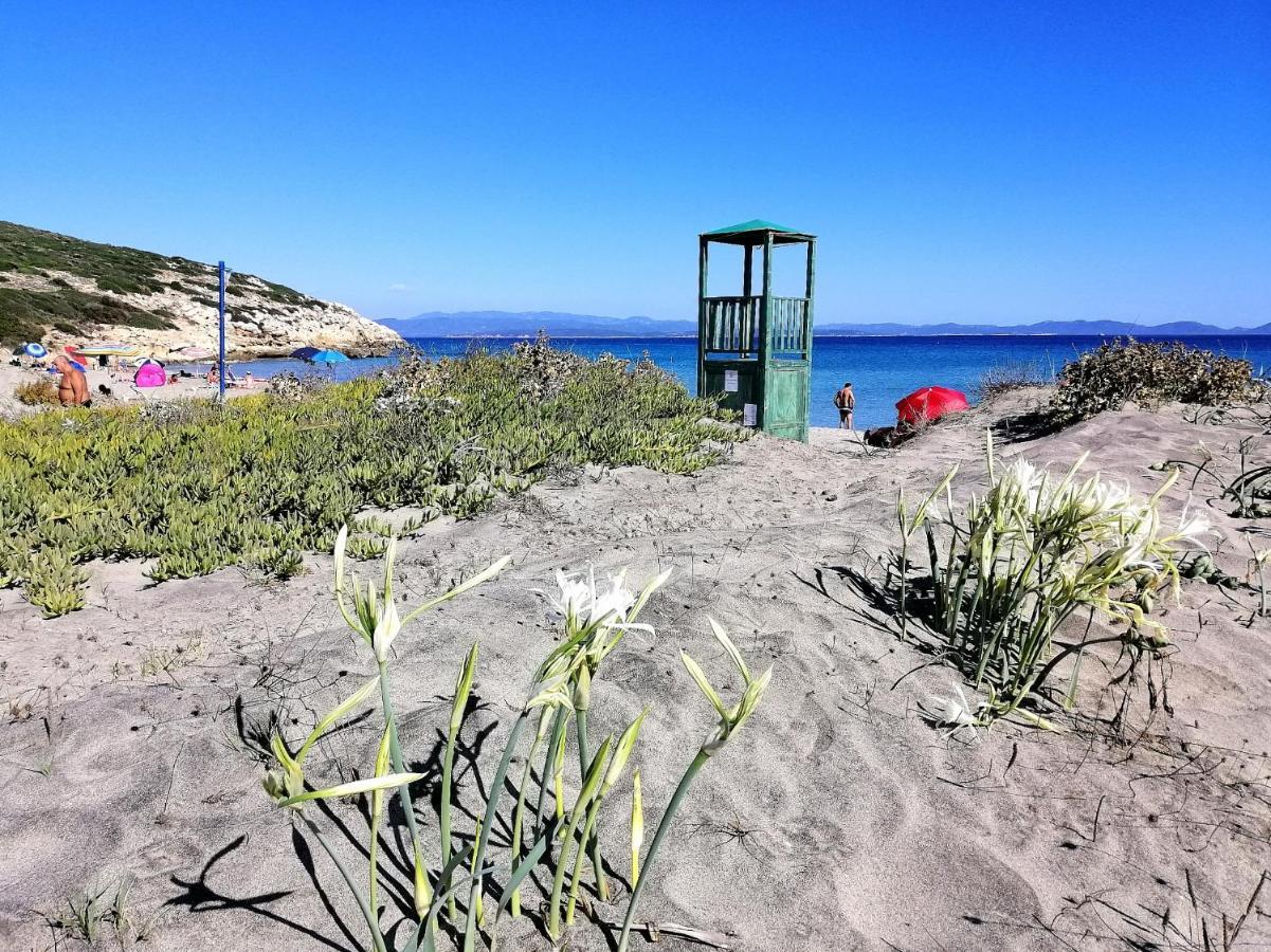 B&B Glamping Semaforo Capo Sperone SantʼAntìoco Exterior foto