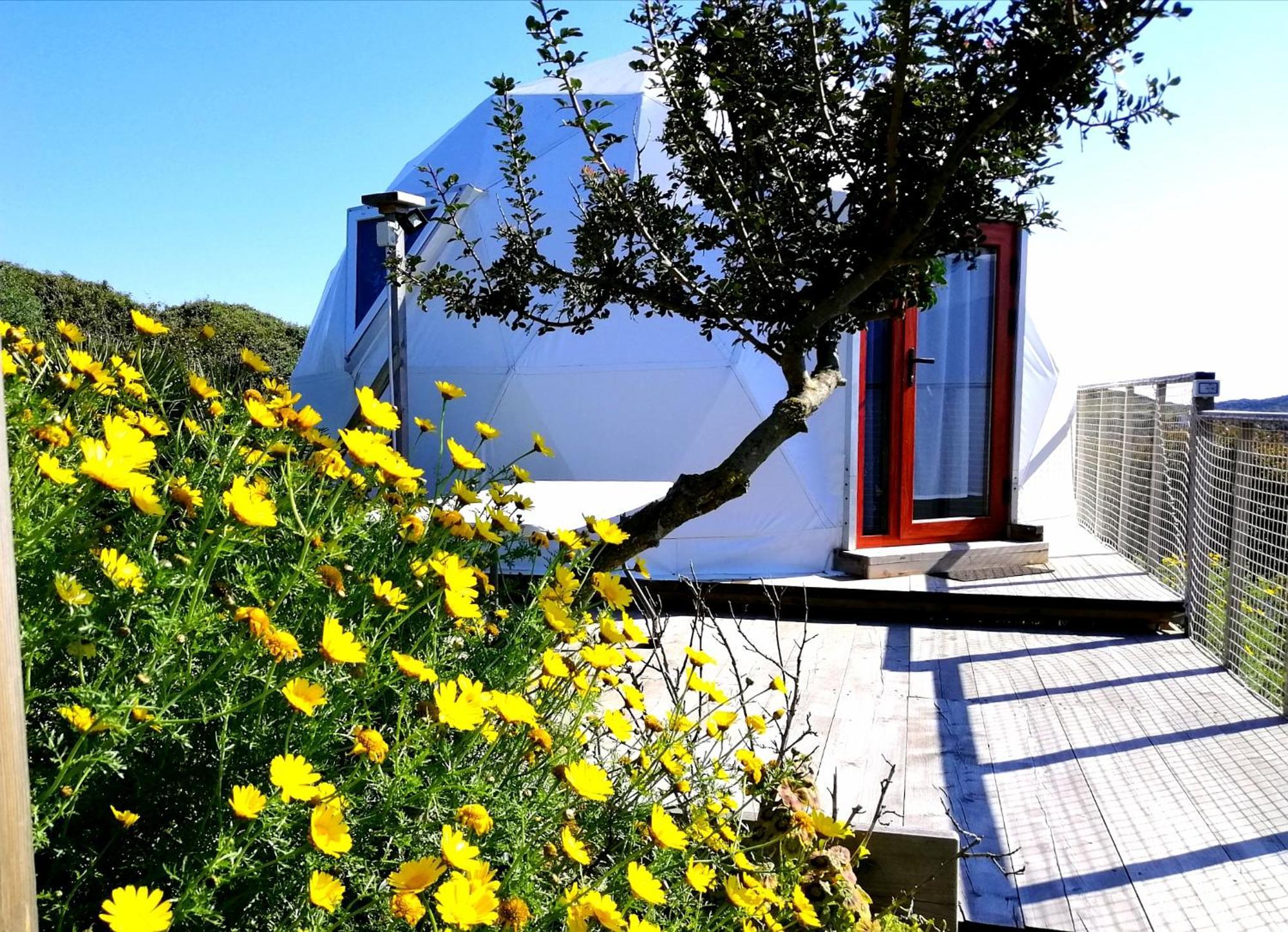 B&B Glamping Semaforo Capo Sperone SantʼAntìoco Quarto foto